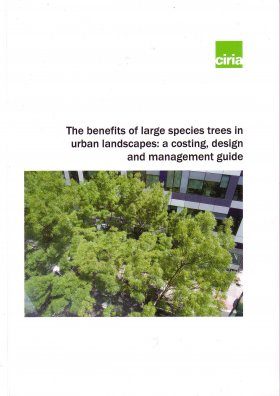 The Benefits of Large Species Trees in Urban Landscapes