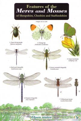 Features of the Meres and Mosses of Shropshire, Cheshire and Staffordshire