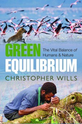 Green Equilibrium