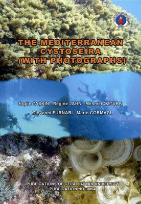 The Mediterranean Cystoseira (With Photographs)