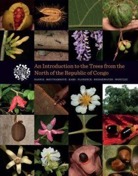 An Introduction to the Trees from the North of the Republic of Congo