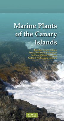 Marine Plants of the Canary Islands
