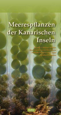 Meerespflanzen der Kanarischen Inseln