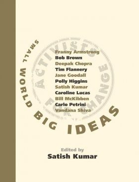 Small World Big Ideas