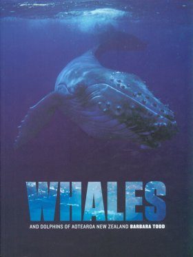 Whales and Dolphins of Aotearoa New Zealand
