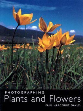 Photographing Plants and Flowers