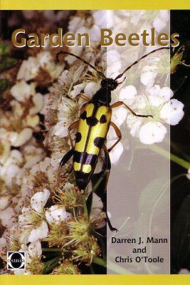 Garden Beetles