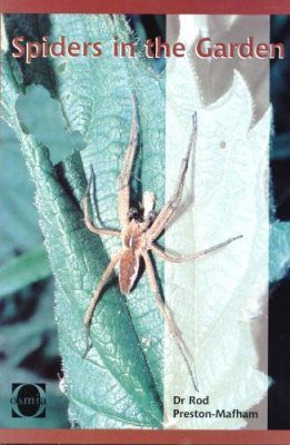 Spiders in the Garden