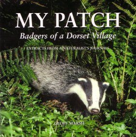 My Patch