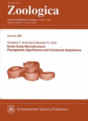 Snake Scale Microstructure