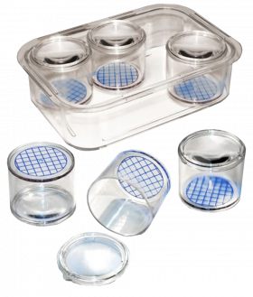 Young Naturalist Magnifying Pot Set