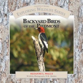Backyard Birds of the Piedmont
