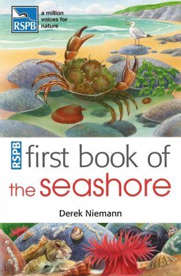 RSPB First Book of the Seashore