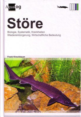 Störe: Biologie, Systematik, Krankheiten, Wiedereinbürgerung, Wirtschaftliche Bedeutung