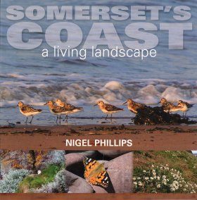 Somerset's Coast