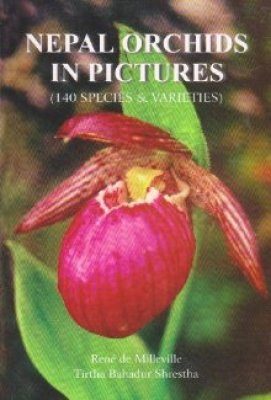 Nepal Orchids in Pictures