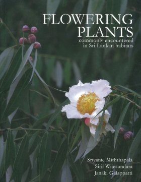 Flowering Plants Commonly Encountered in Sri Lankan Habitats