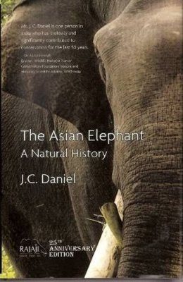 Asian Elephant