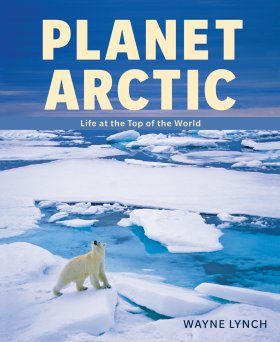 Planet Arctic