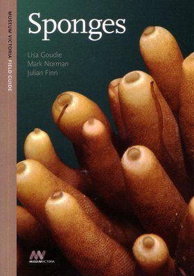 Sponges: A Museum Victoria Field Guide to Marine Life
