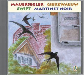 Mauersegler, Gierzwaluw, Swift, Martinet noir