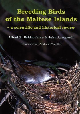Breeding Birds of the Maltese Islands
