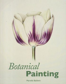 Botanical Painting