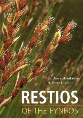 Restios of the Fynbos