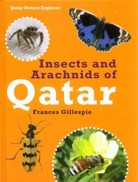 Insects and Arachnids of Qatar