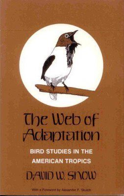 The Web of Adaptation