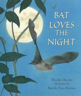 Bat Loves the Night