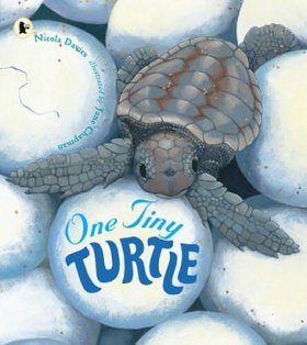 One Tiny Turtle