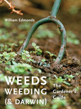 Weeds, Weeding (& Darwin)