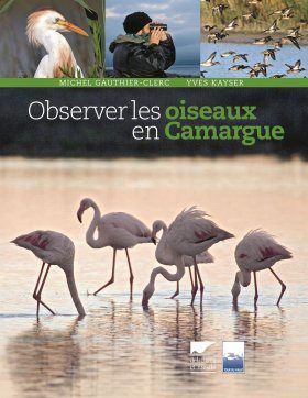 Observer les Oiseaux en Camargue