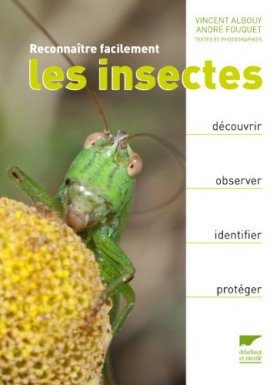 Reconnaître Facilement les Insectes