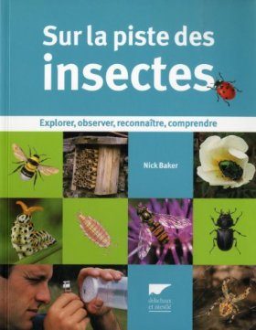 Sur la Piste des Insectes