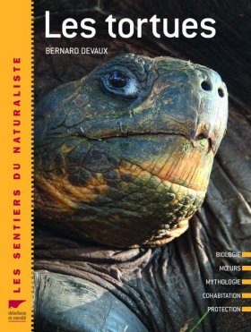 Tortues