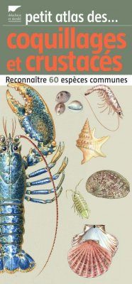 Petit Atlas des Coquillages et Crustacés