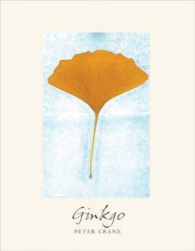 Ginkgo: The Tree That Time Forgot