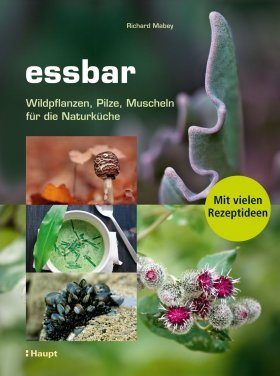 Essbar: Wildpflanzen, Pilze, Muscheln für die Naturküche