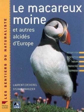 Macareux Moine et Autres Alcidés d'Europe