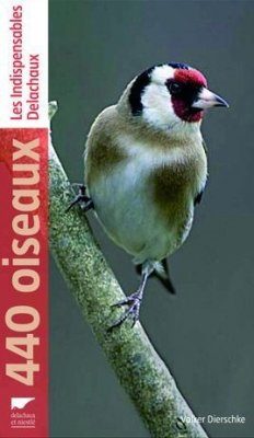 440 Oiseaux