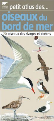 Petit Atlas des Oiseaux du bord de Mer
