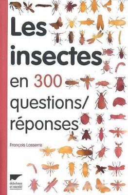 Insectes en 300 Questions Réponses