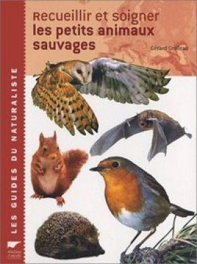 Recueillir et Soigner les Petits Animaux