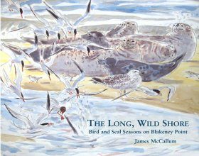 The Long, Wild Shore