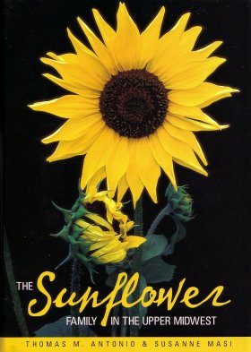 The Sunflower Family in the Upper Midwest