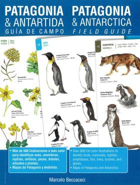 Patagonia & Antarctica Field Guide / Patagonia & Antartida Guía de Campo