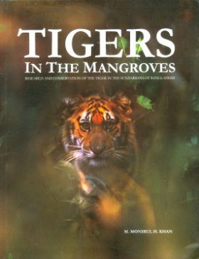 Tigers in the Mangroves
