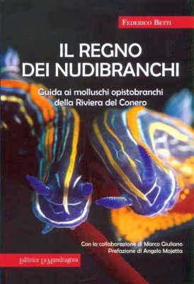 Il Regno dei Nudibranchi